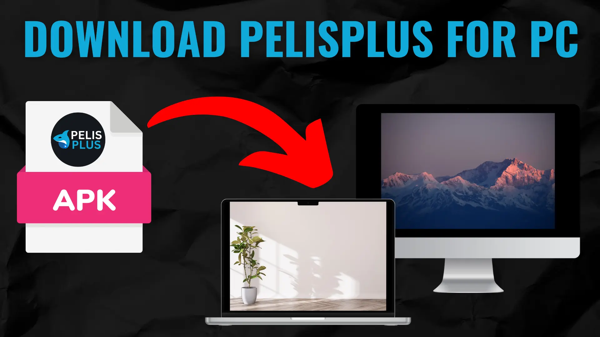 Download Pelisplus for pc